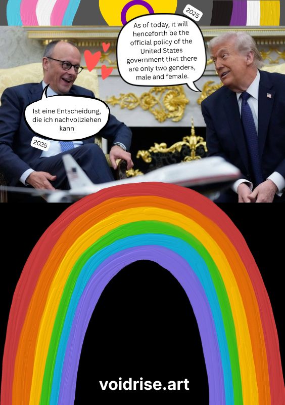 Auf der Rückseite des Zines ist oben ein  grauer Streifen, in dem die Trans-, Intersex- und Nonbinary-Farben zu sehen sind. Darunter ist ein Foto von Friedrich Merz und Donald Trump, die sich freundlich zugewandt unterhalten. Trump sagt: 'As of today, it will henceforth be the official policy of the United States government that there are only two genders, male and female.' (2025). Über Merz' Kopf sind 3 rote Cartoon-Herzen. Er sagt: 'Ist eine Entscheidung, die ich nachvollziehen kann'. Der untere Teil des Bildes ist schwarz mit einem Regenbogen in pastosen Farbstrichen. Am unteren Rand steht in weißer Schrift die Webadresse voidrise.art